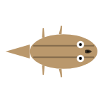 Back Leg Length: Mid